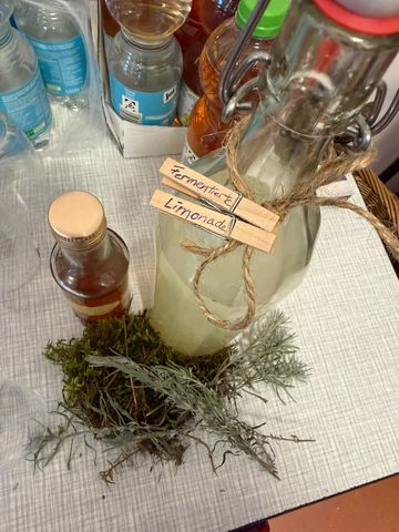 Bügelflasche mit fermentierter Limonade, beschriftet mit Holzklammern, daneben Lavendel und Moos