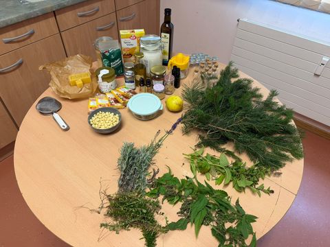 Materialtisch mit Lavendel, Thymian, Brennnessel, Minze, Fichtengrün, Bienenwachs, Honig, Rapsöl und Natron
